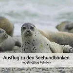 Strandnahe Familien-oase Mit Kinderbuggy * Bensersiel