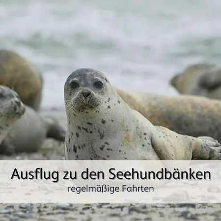 Robbe 2 * Bensersiel