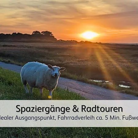 Strandnahe Familien-oase Mit Kinderbuggy *