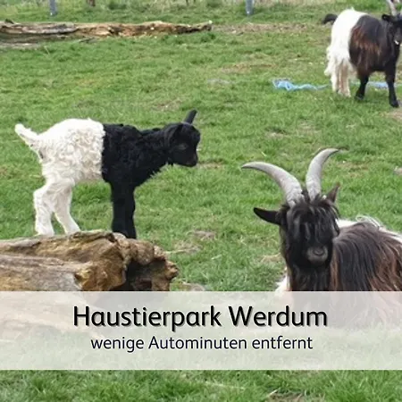 Strandnahe Familien-oase Mit Kinderbuggy Apartman *