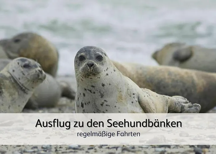 Strandnahe Familien-oase Mit Kinderbuggy * Bensersiel