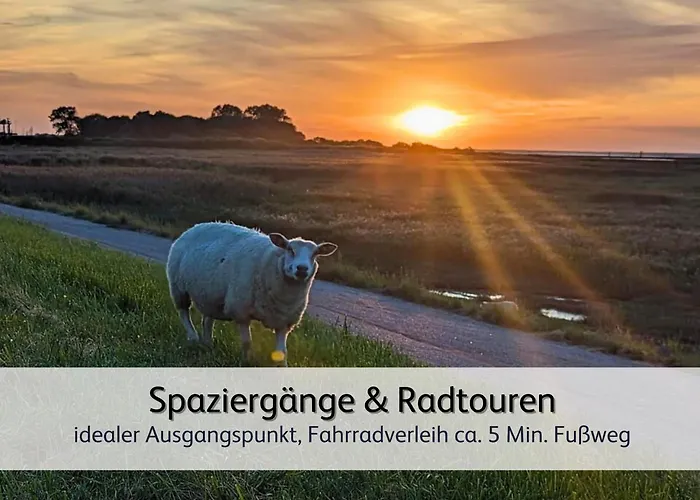Strandnahe Familien-oase Mit Kinderbuggy *