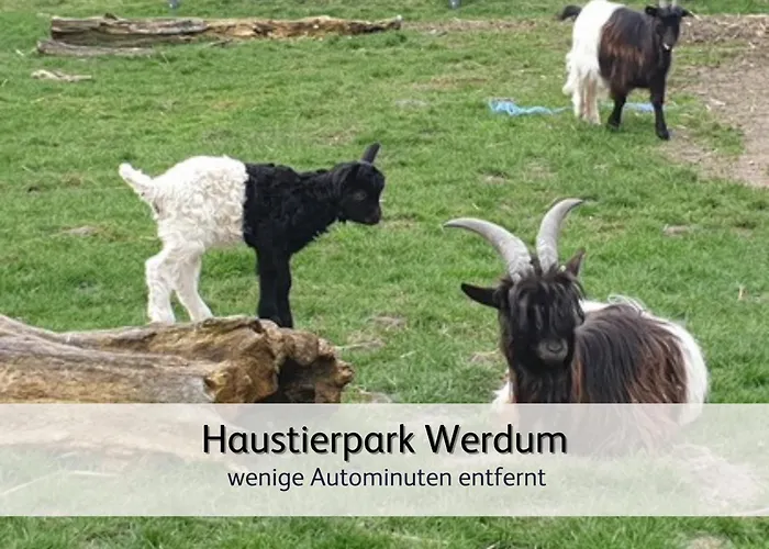 Strandnahe Familien-oase Mit Kinderbuggy Apartment *