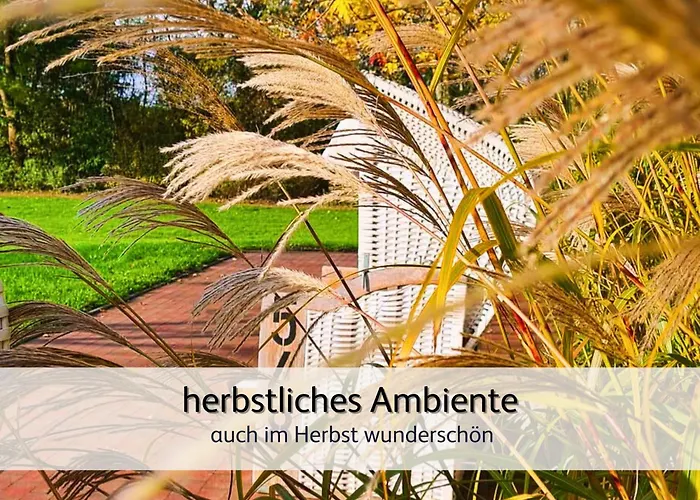 Strandnahe Familien-oase Mit Kinderbuggy